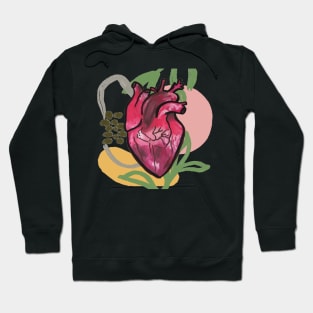 Have you ever seen my heart? Hoodie